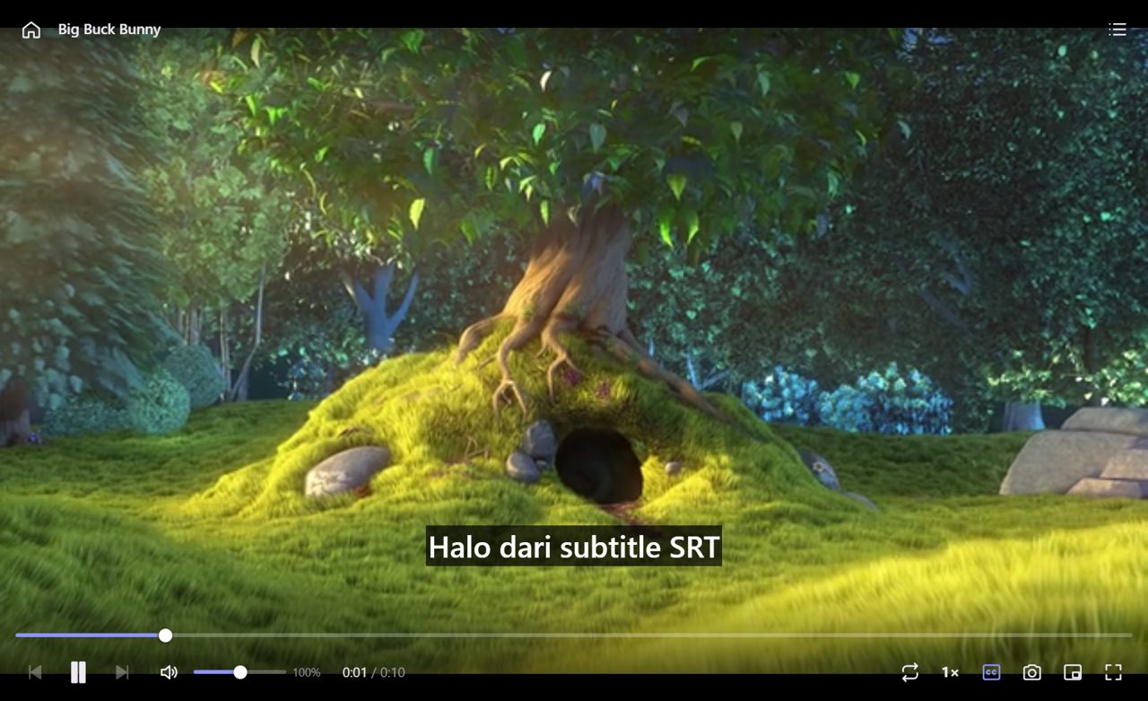 Skyvora Player memutar video dengan subtitle